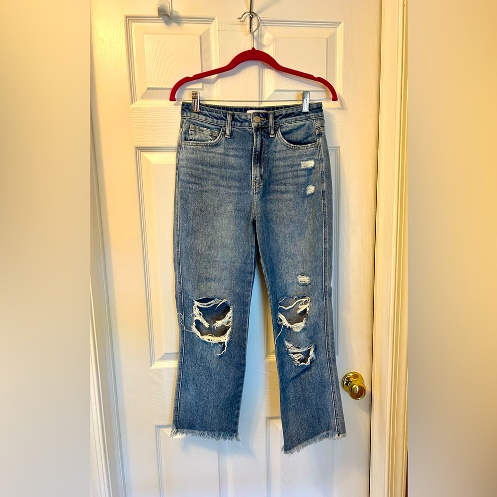 Flying Monkey Straight Ankle Jeans